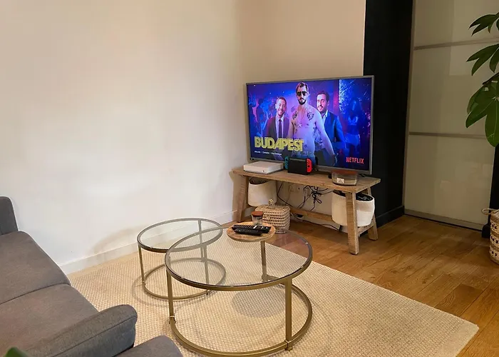 Superbe T2Bis Hypercentre Avec Grande Terrasse